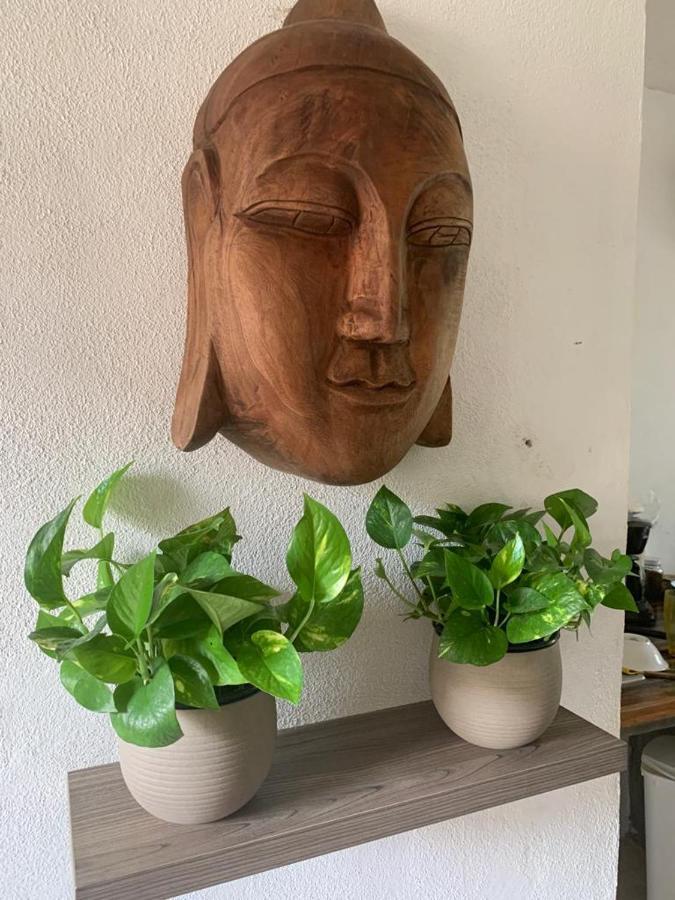 Casa Candra San Francisco  Eksteriør bilde